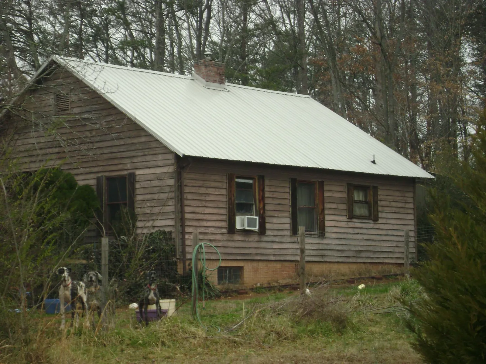 White metal roof on an old wood sided farmhouse, from a Asphalt Shingle Roof Repair job in Midland